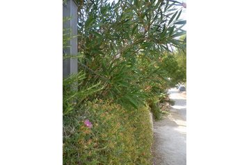 Hrvatska Privát Donji Karin, Eksterijer